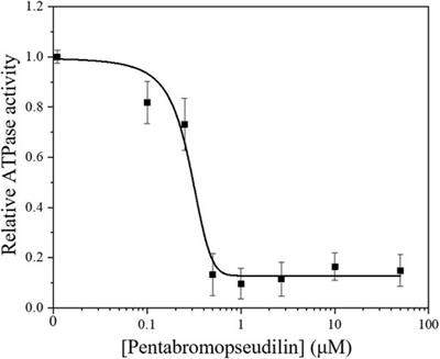 Motor properties of Myosin 5c are modulated by tropomyosin isoforms and inhibited by pentabromopseudilin